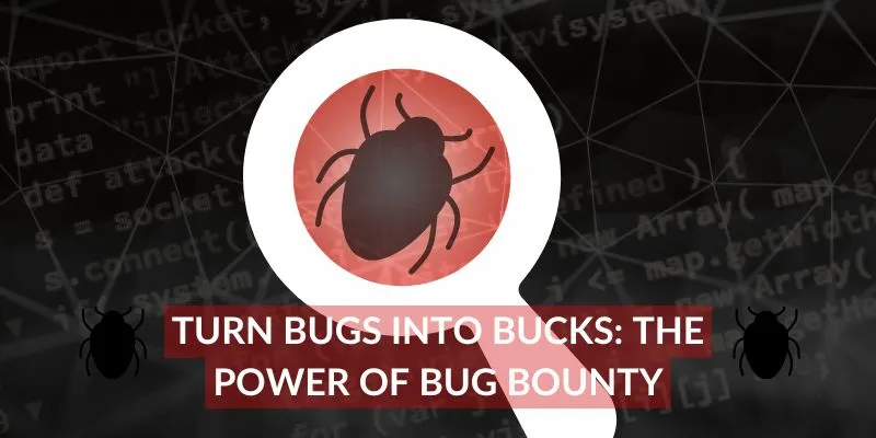 What is bug bounty